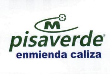 Imagen de M PISAVERDE ENMIENDA CALIZA
