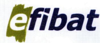 Imagen de EFIBAT