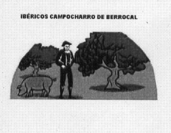Imagen de IBERICOS CAMPOCHARRO DE BERROCAL