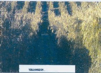 Imagen de VILLAMEJOR