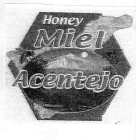 Imagen de HONEY MIEL ACENTEJO