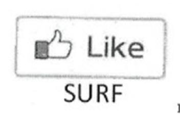 Imagen de LIKE SURF