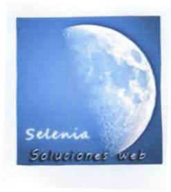 Imagen de SELENIA SOLUCIONES WEB