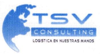 Imagen de TSV CONSULTING LOGISTICA EN NUESTRAS MANOS