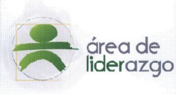 Imagen de AREA DE LIDERAZGO