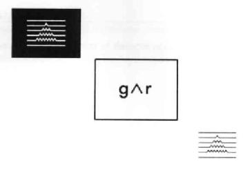 Imagen de GAR