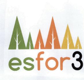 Imagen de ESFOR 3