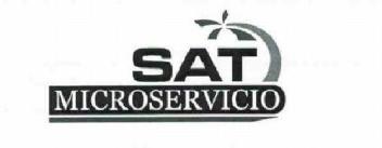 Imagen de SAT MICROSERVICIO