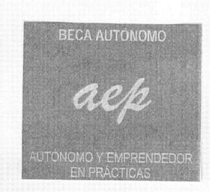 Imagen de BECA AUTONOMO AEP AUTONOMO Y EMPRENDEDOR EN PRACTICAS