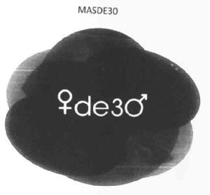 Imagen de MASDE30