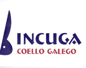 Imagen de INCUGA COELLO GALEGO