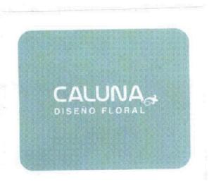 Imagen de CALUNA DISEÑO FLORAL