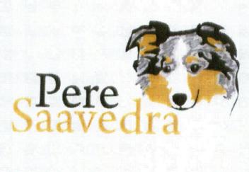 Imagen de PERE SAAVEDRA