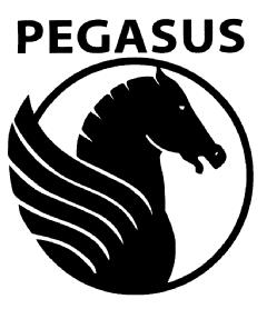 Imagen de PEGASUS