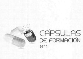 Imagen de CAPSULAS DE FORMACION EN