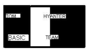 Imagen de TOM HYANTER BASIC TEAM