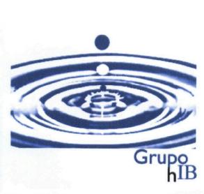 Imagen de GRUPO HIB