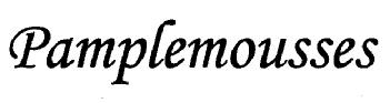 Imagen de PAMPLEMOUSSES