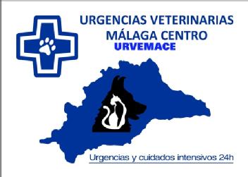 Imagen de URGENCIAS VETERINARIAS MALAGA CENTRO URVEMACE
