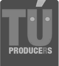Imagen de TU PRODUCERS