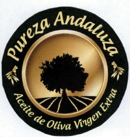 Imagen de PUREZA ANDALUZA ACEITE DE OLIVA VIRGEN EXTRA
