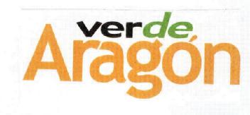 Imagen de VERDE ARAGON
