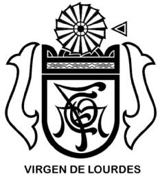 Imagen de VIRGEN DE LOURDES