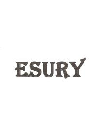 Imagen de ESURY