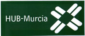 Imagen de HUB-MURCIA