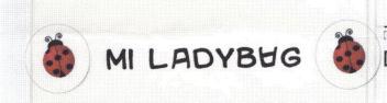 Imagen de MI LADYBAG
