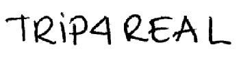 Imagen de TRIP4REAL