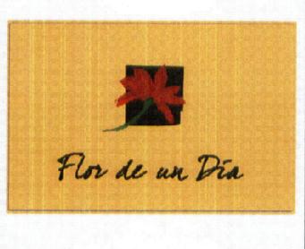 Imagen de FLOR DE UN DIA