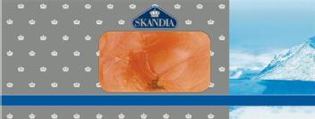 Imagen de SKANDIA