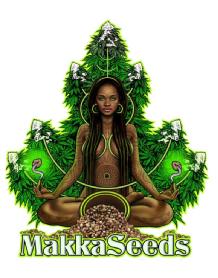 Imagen de MAKKASEEDS