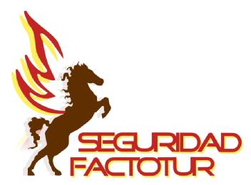 Imagen de SEGURIDAD FACTOTUR