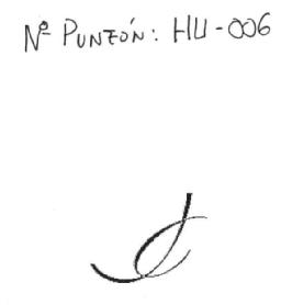 Imagen de N PUNZON: HU-006