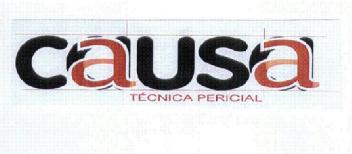 Imagen de CAUSA TECNICA PERICIAL