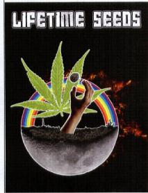 Imagen de LIFETIME SEEDS