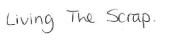 Imagen de LIVING THE SCRAP