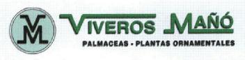 Imagen de VIVEROS MAÑO VM PALMACEAS-PLANTAS ORNAMENTALES