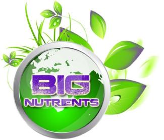 Imagen de BIG NUTRIENTS