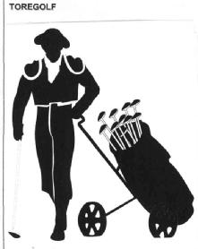 Imagen de TOREGOLF