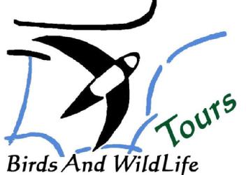 Imagen de BIRDS AND WILDLIFE TOURS
