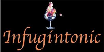 Imagen de INFUGINTONIC