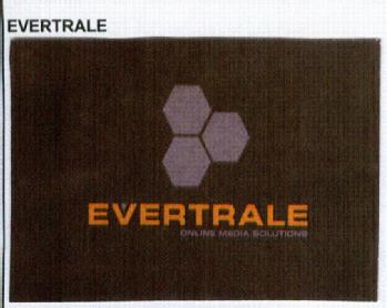 Imagen de EVERTRALE ONLINE MEDIA SOLUTIONS