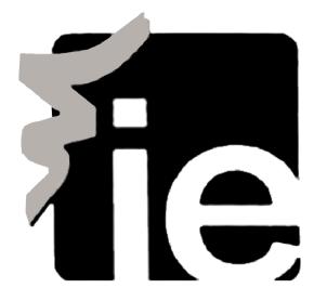 Imagen de IE