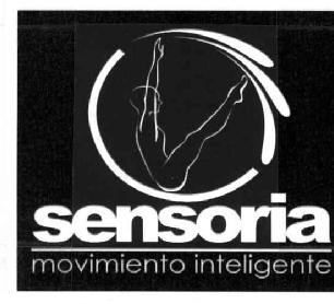 Imagen de SENSORIA MOVIMIENTO INTELIGENTE