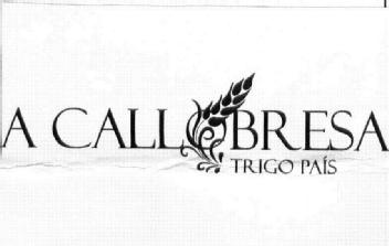 Imagen de A CALLOBRESA TRIGO PAIS