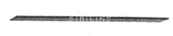 Imagen de SIBILINE