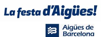 Imagen de LA FESTA D\'AIGUES AIGUES DE BARCELONA